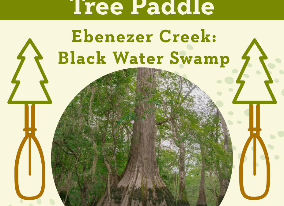 Tree Paddle